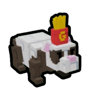 French Ferret